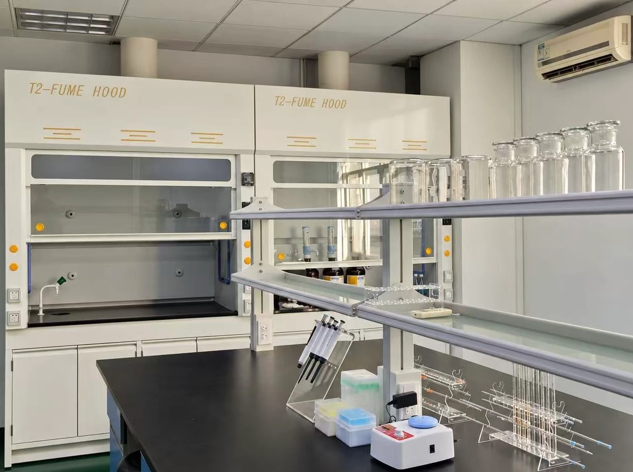Laboratory work area with fume hoods, glassware and bench equipment